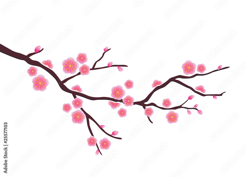 Cherry blossom in vector format