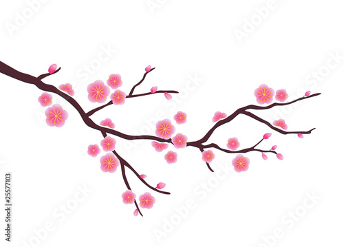 Cherry blossom in vector format #25577103