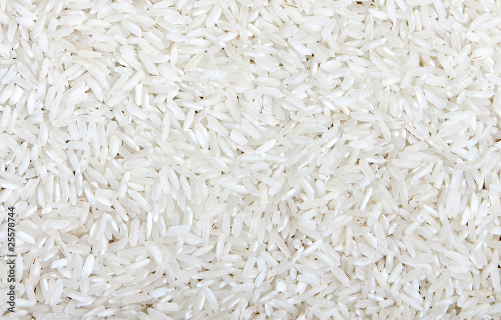 rice rice