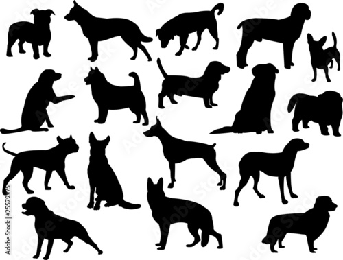 dogs silhouette vector