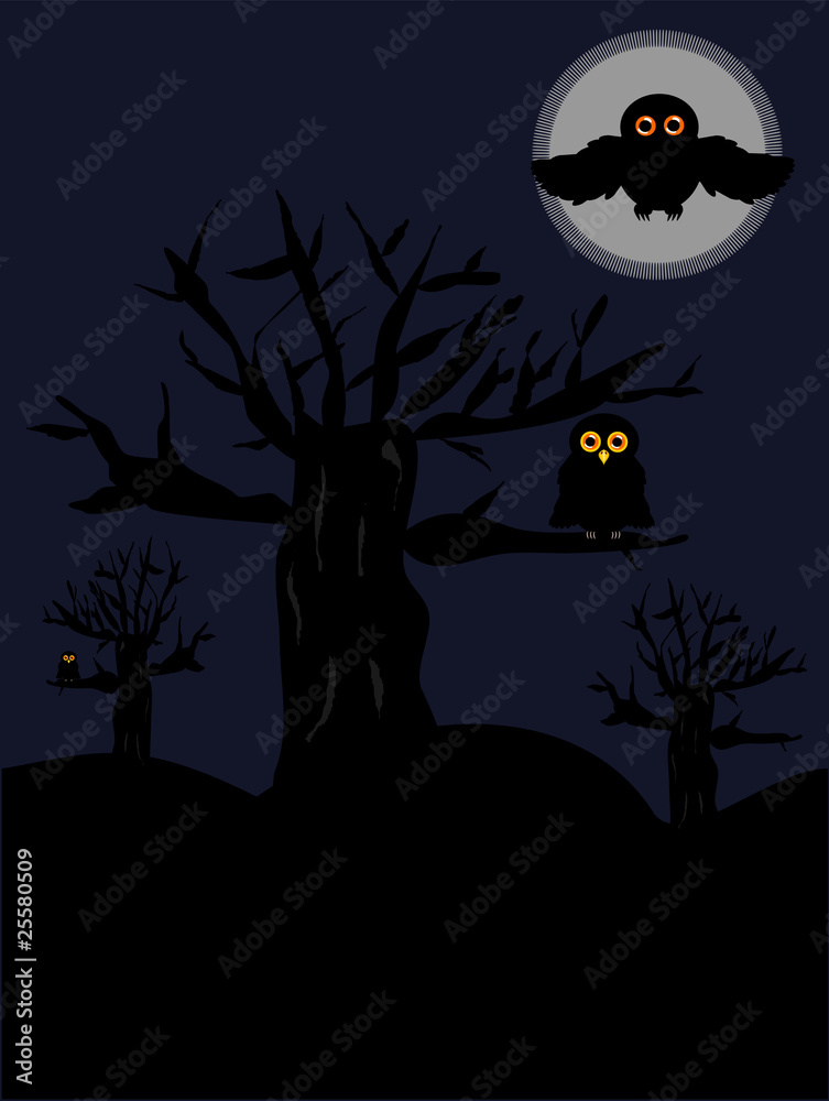 Fototapeta premium Night halloween scenery with owls