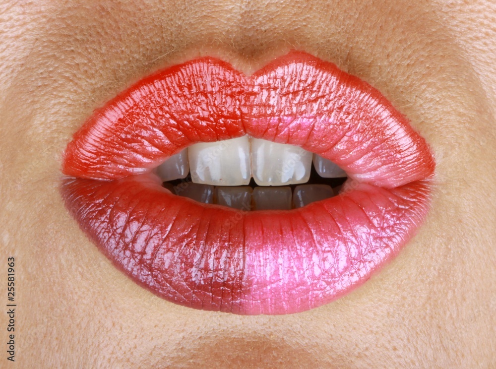 Obraz premium 4 couleurs