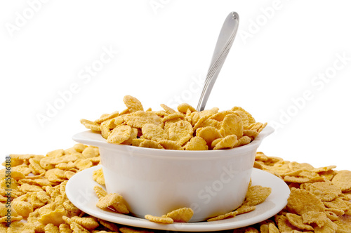 Принти на полотні flakes in the bowl