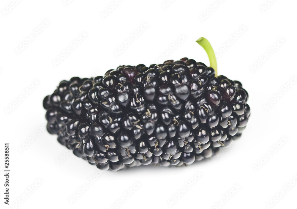 Organic Mulberry Organic Mulberry