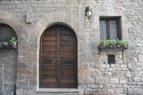 Wooden door.