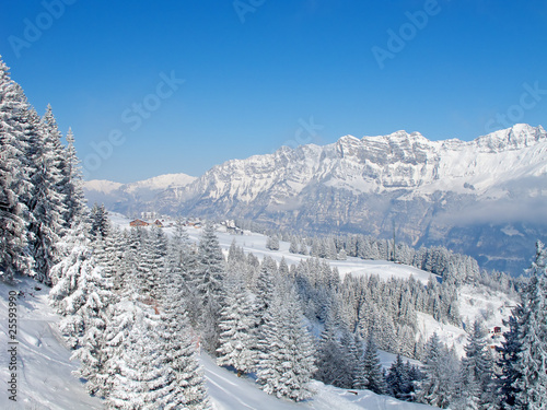 Winter in the alps