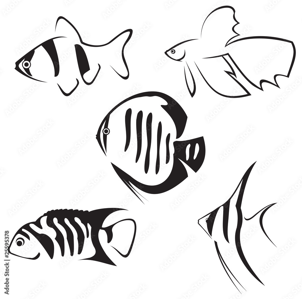 Aquarium Fish, Vector Sketch Graphic by elalalala · Creative Fabrica