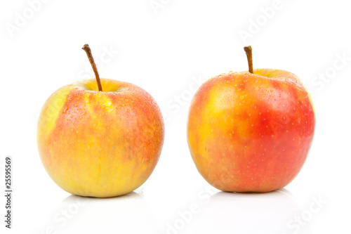 two juicy red with yellow apples over white background