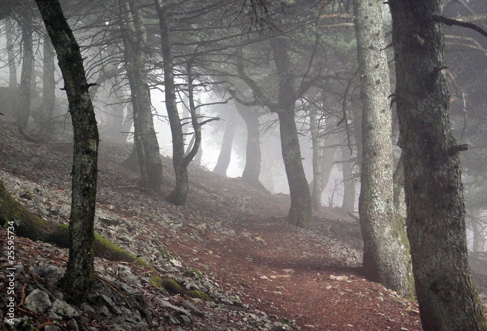 Fototapeta premium Mountain hiking