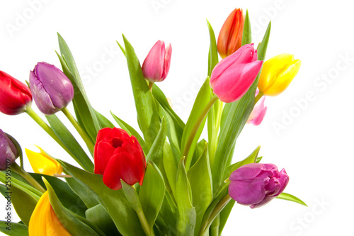 bouquet of colorful tulips over white background