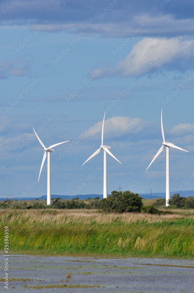 éoliennes de Camargue 8 éoliennes de Camargue 8