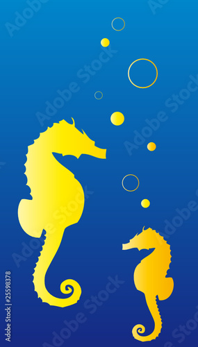 Ocean Life