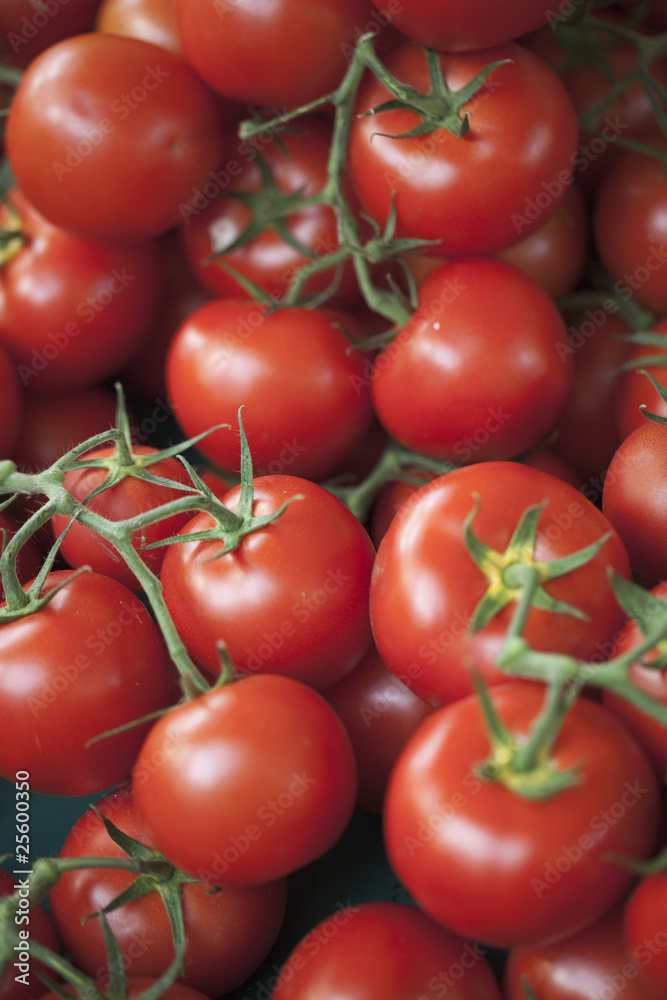 gros plan sur tomates mûres