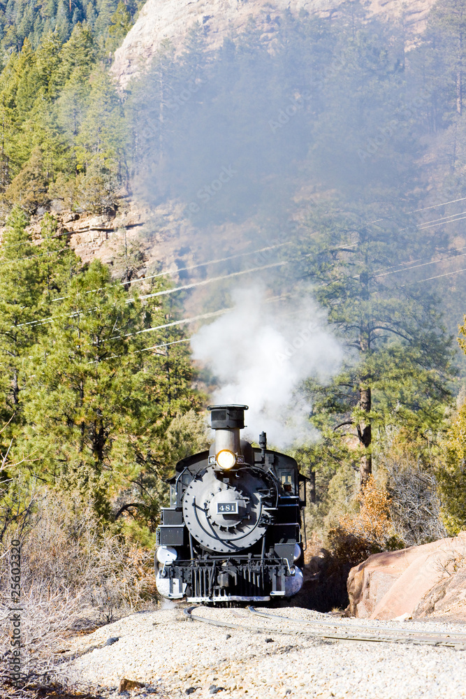 Fototapeta premium Durango i Silverton Narrow Gauge Railroad, Kolorado, USA