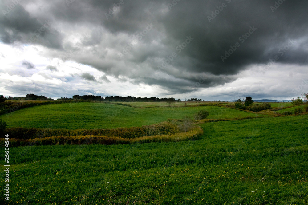 Fototapeta premium Weather