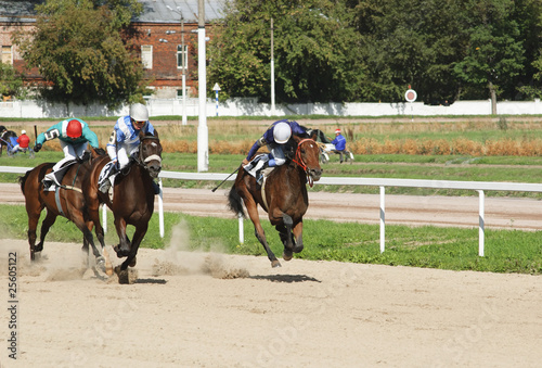 Race for the prize "Winter favourite" for horses of 2-th years o