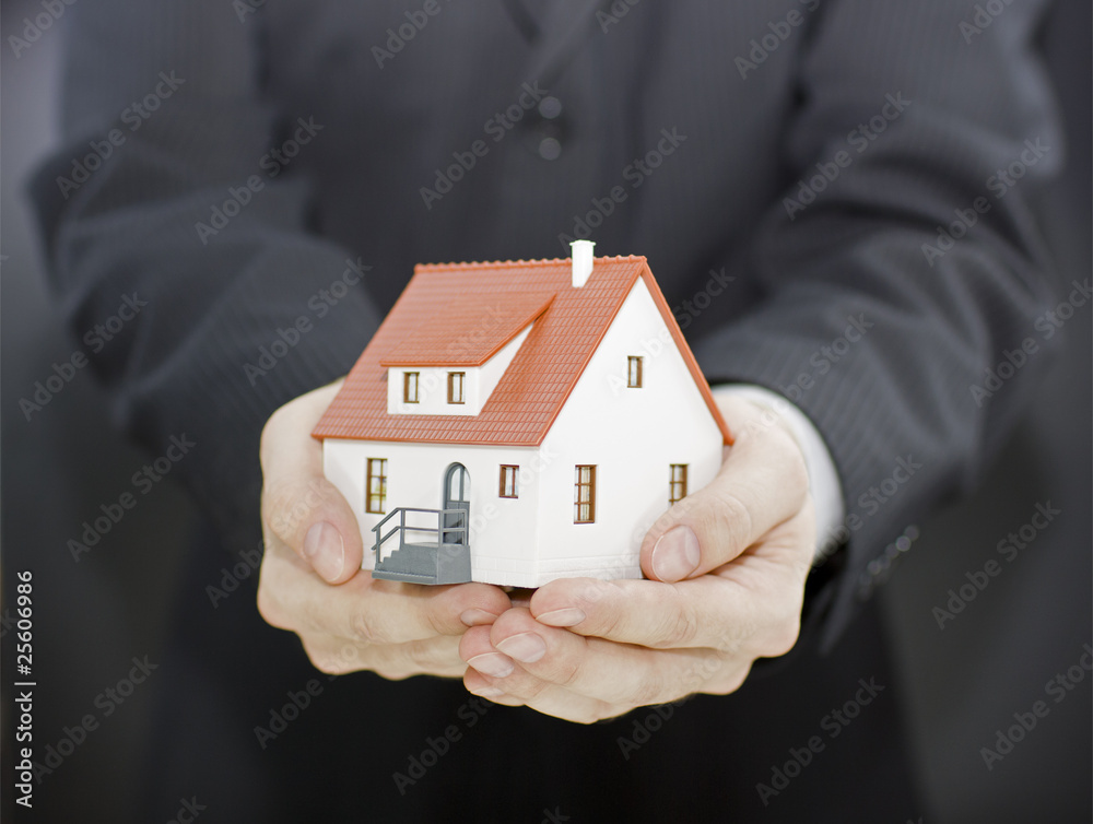 Home in hands Home in hands