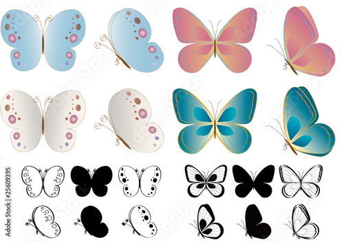 butterfly2