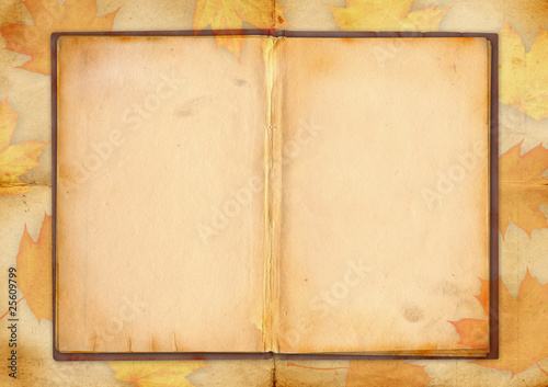 old book backgraund