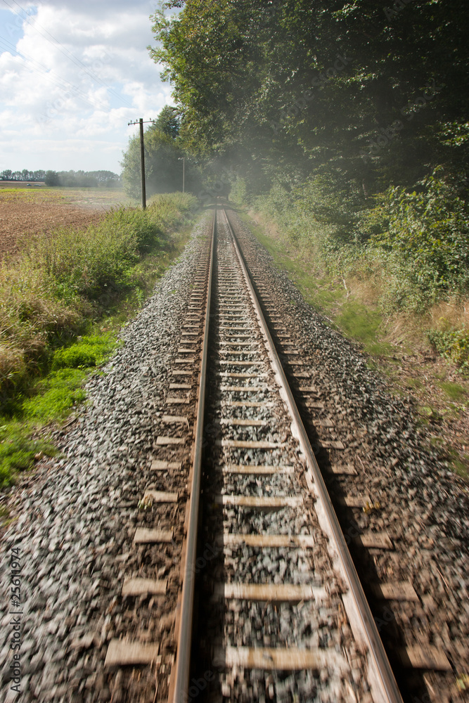 Fototapeta premium gleise
