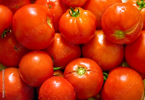 Wet Fresh Tomatoes