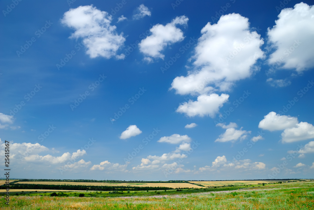 Summer landscape with the beautiful sky Summer landscape with the beautiful sky
