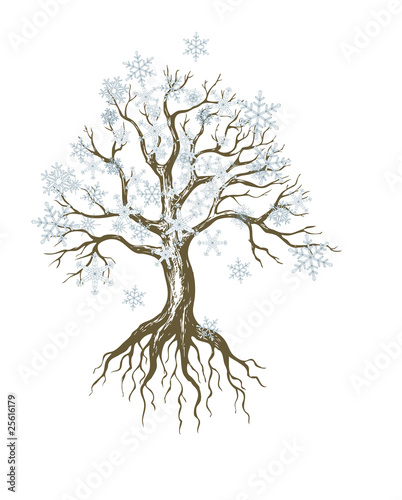 winter tree