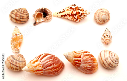 Wallpaper Mural Marine bowl Torontodigital.ca