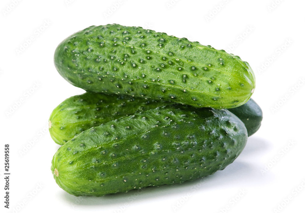 Cucumber vegetable Cucumber vegetable