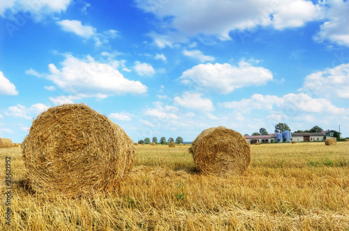 Field and sky.