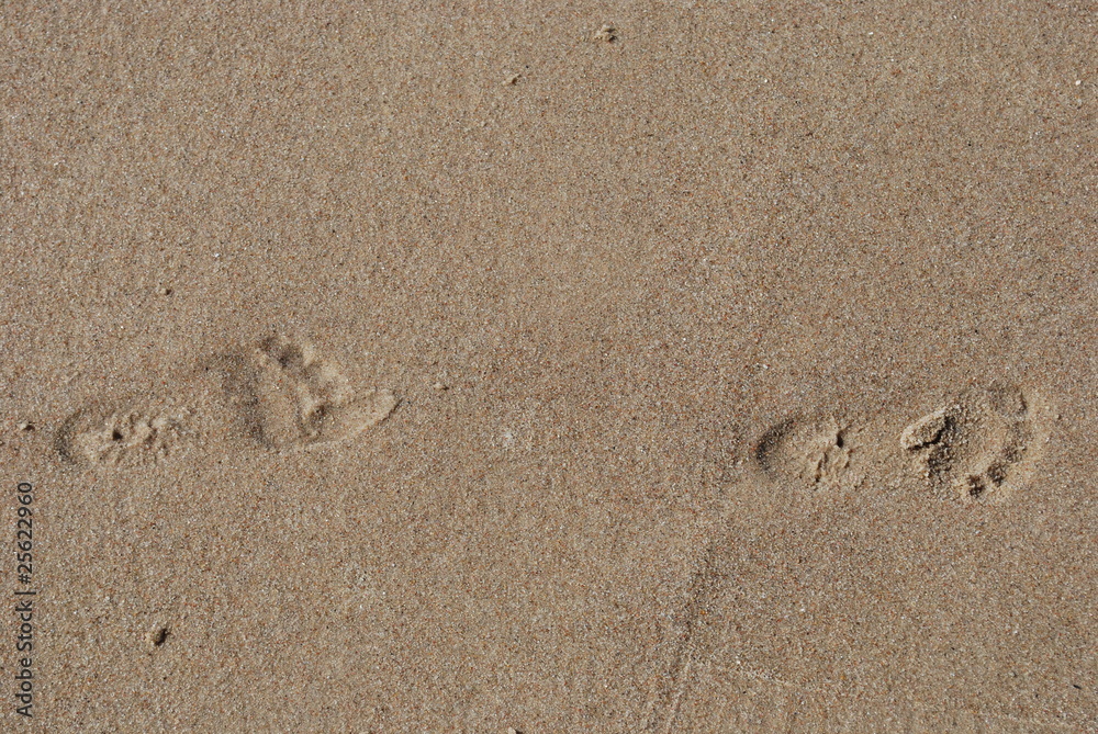Abdruecke in Sand - Kinderfüße - Miedzyzdroje Polen