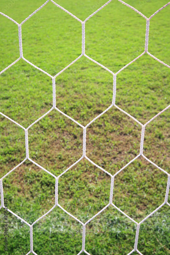 View from behind a goal