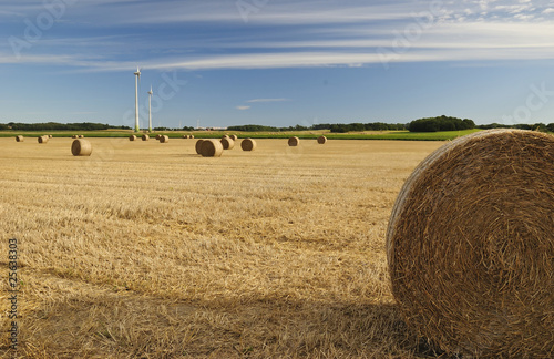 Agriculture landscape