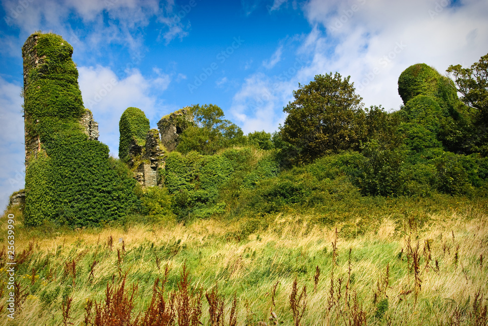 Northburg Castle, Ireland Northburg Castle, Ireland