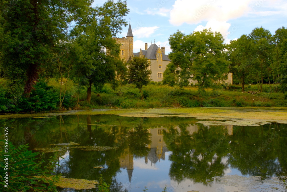 chateau du cher