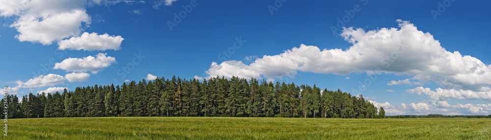 agriculture field and forest under blue sky