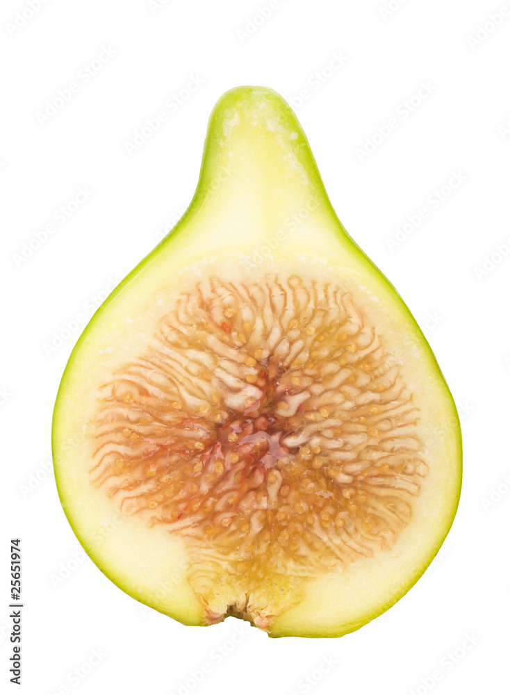 fig isolated in white background fig isolated in white background