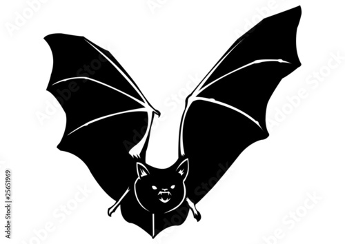 Chauve souris - 4