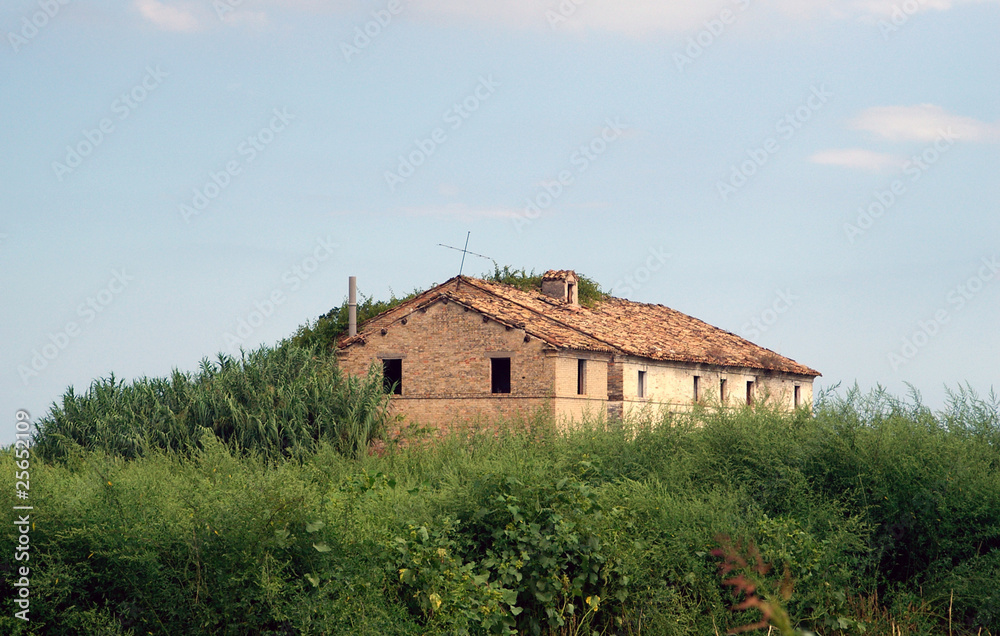 Old deserted house overruned with grass