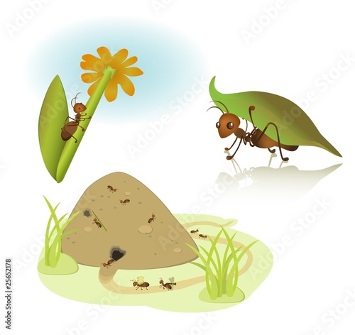 vector cartoon ants