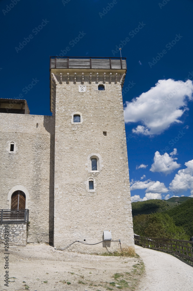 Albornoz fortress. Spoleto. Umbria.