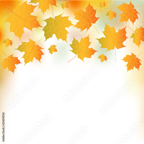 Vector illustration of autumn falling leaves