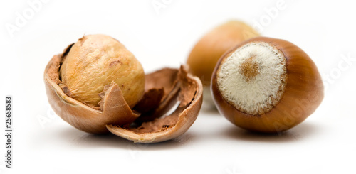 nocciole