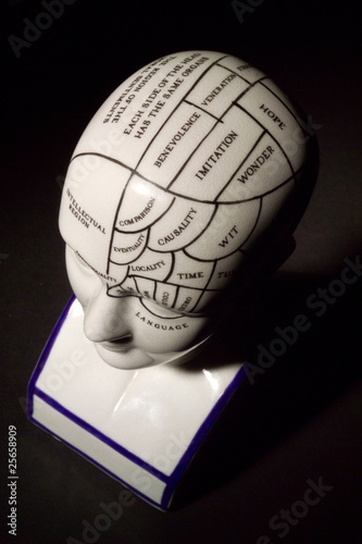 Phrenology Head photo