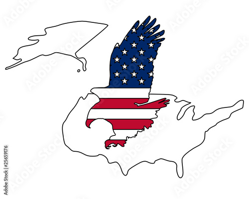 Amerikanischer Weißkopfseeadler