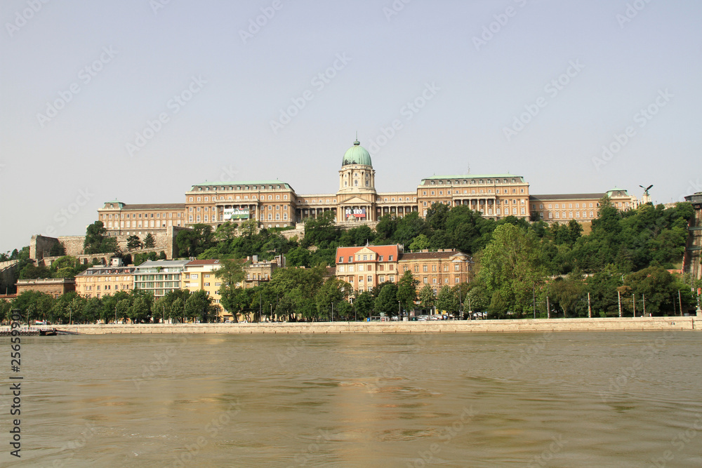 Fototapeta premium le château de Buda depuis le Danube