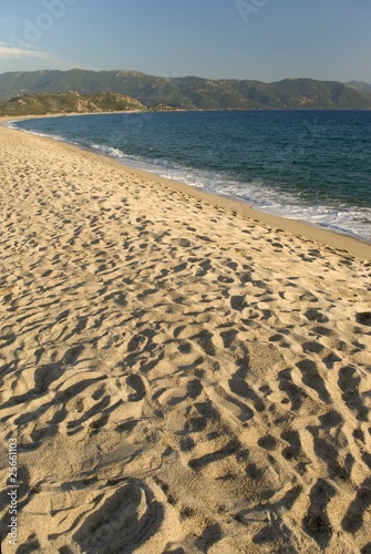 Corsica  golfo di Sagone  spiaggia del Liamone