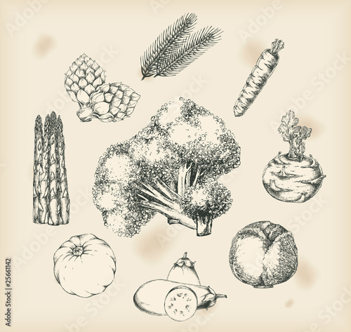 vegetables- isolated objects- drawing