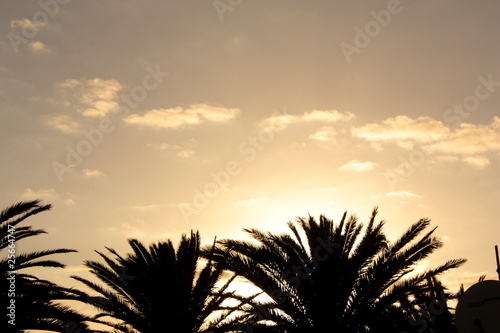 Tenerife sunset