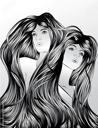 Twins with interlocking hair